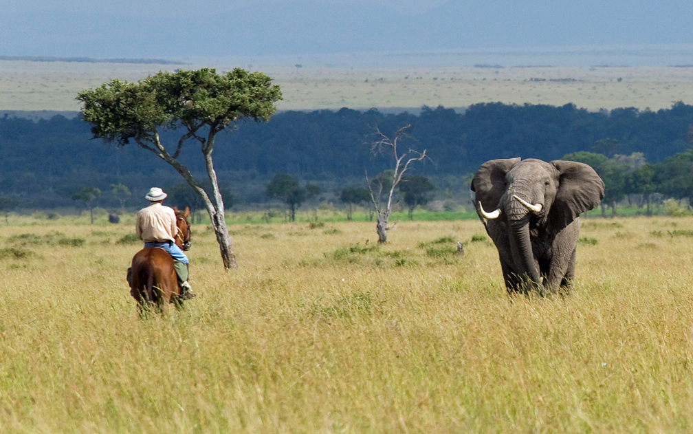 activities mara horsesafari